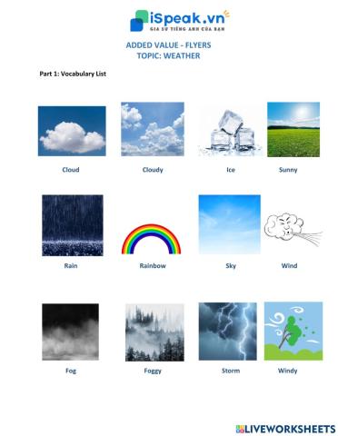ADDED VALUE FLYERS - Weather