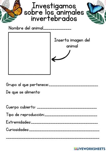 Animales invertebrados