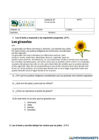 Preposiciones y conjunciones