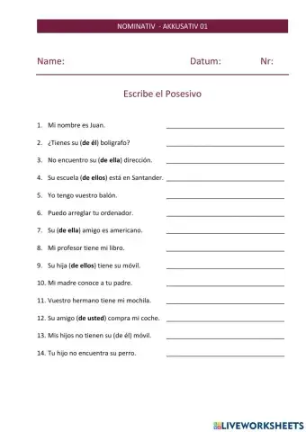 Posesivos en Nominativo y Acusativo 01 Traduccion