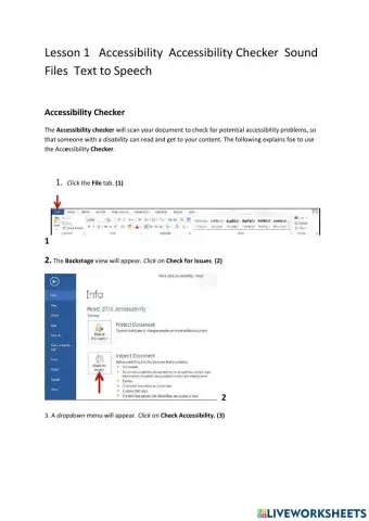 Lesson 1 Accessiility  Accessibility Checker Sound Files and Text to Speech