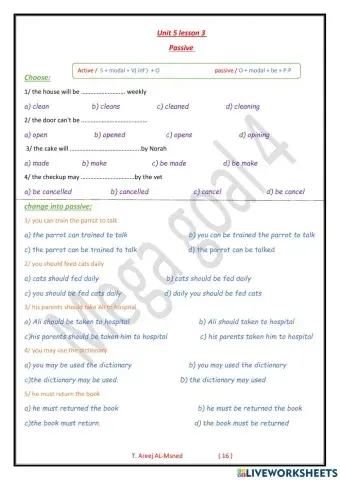 Mega goal 4 - unit 5 lesson 3