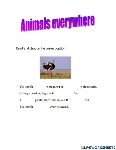 Animals everywhere