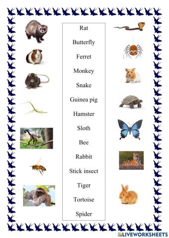 Steps Plus klasa 4 unit 5