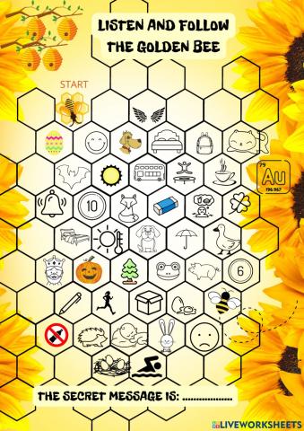 Follow the instructions