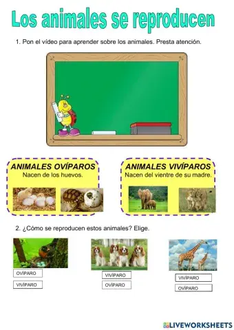 Funcion de reproduccion