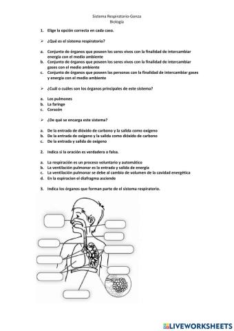 Sistema respiratorio mayo