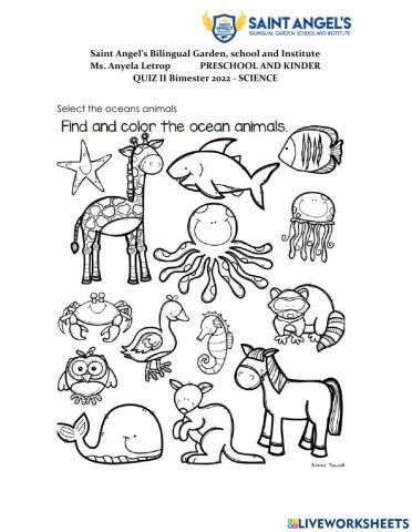 Science quiz preschool