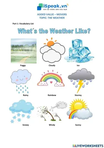 ADDED VALUE MOVERS - The weather