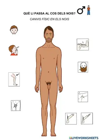 Canvis en el cos