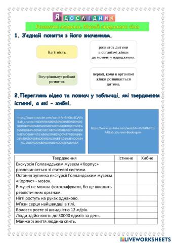 Будова тіла