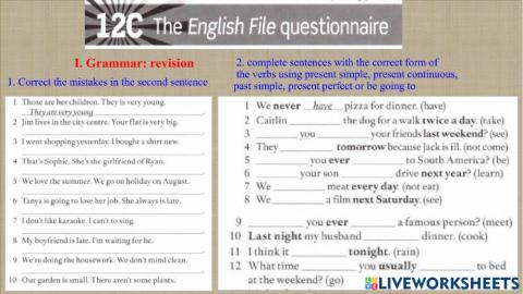 Unit 12 C: The English file questionaire