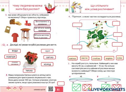 Тиждень 28. Світ рослин.