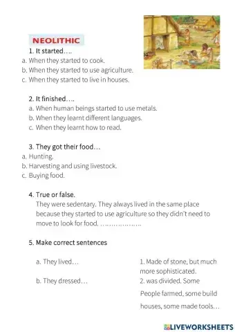 Neolithic and metal ages