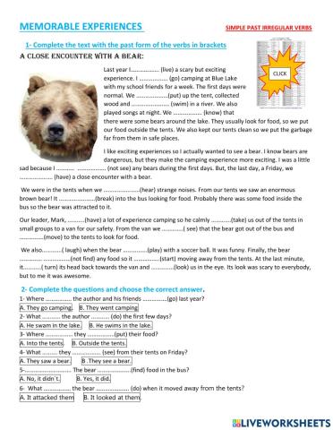 Memorable experiences