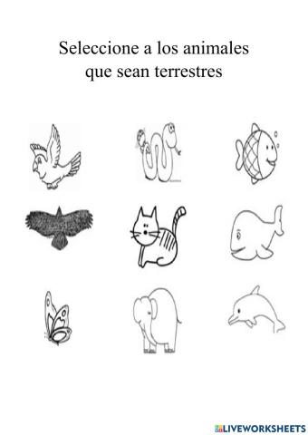 Animales terrestres