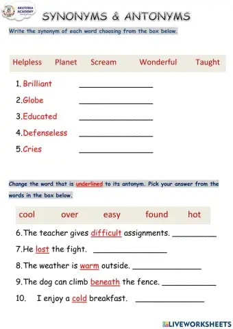 Synonyms and Antonyms