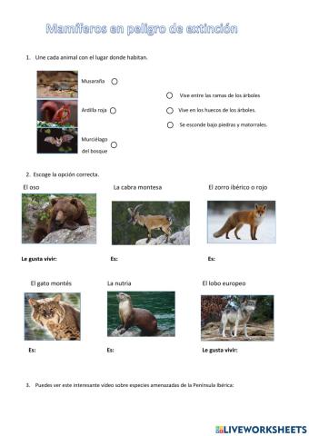 Mamíferos en extinción