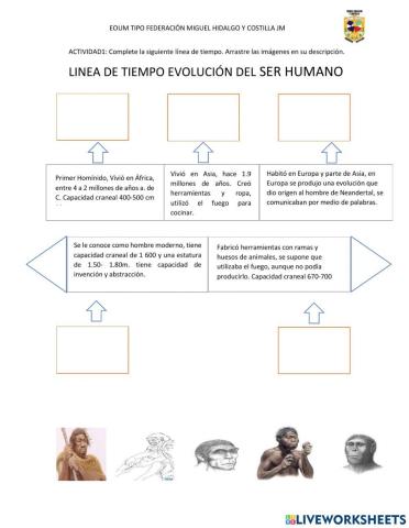 Evolución del ser humano