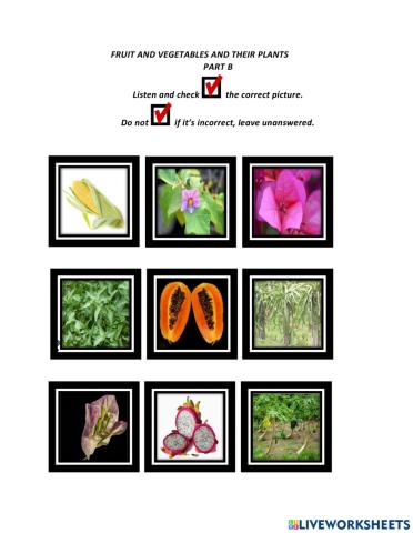 Fruits and Vegetables