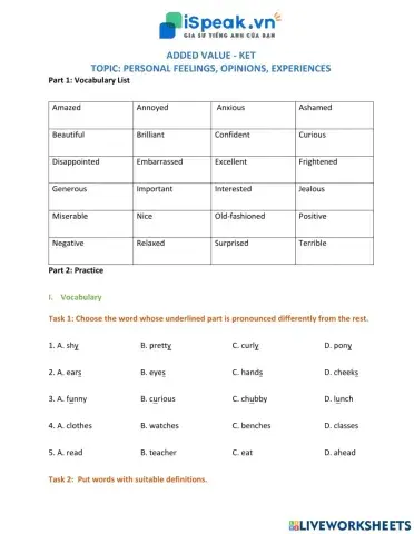 ADDED VALUE KET-Personal Feelings, Opinions and Experiences