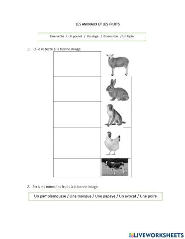 Les animaux et les fruits