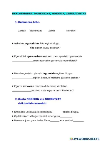 Norentzat, norekin, zerez, zertaz