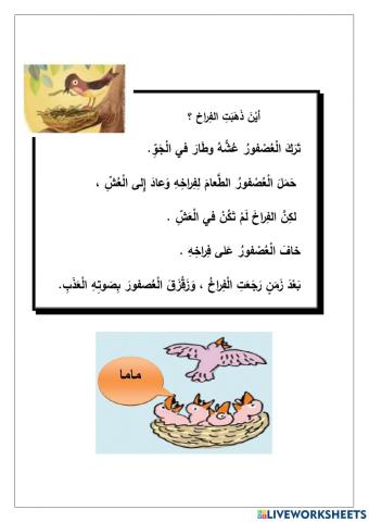 اين ذهبت الفراخ