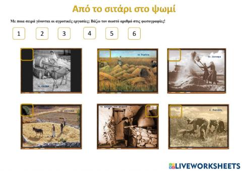 Απο το σιταρι στο ψωμι