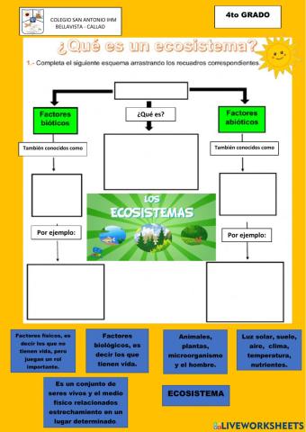 Ecosistemas