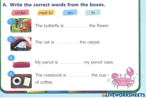 Write the correct words from the boxes.6