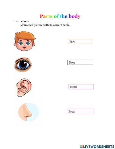 Parts of the Body