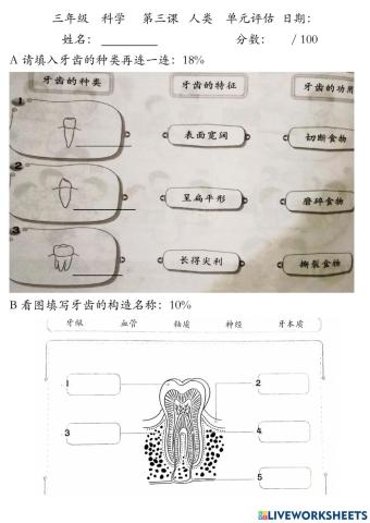 三年级科学第三课 人类