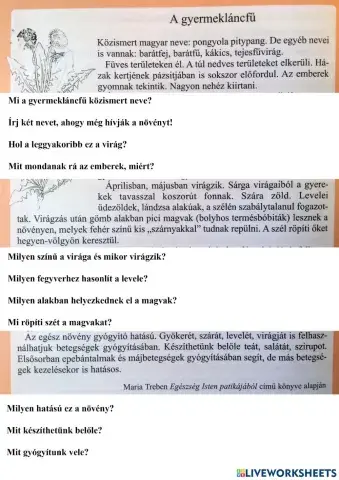 Pitypang-szövegértés