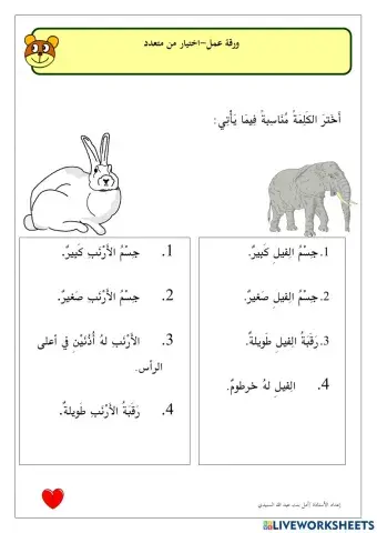 متدربة شيخه