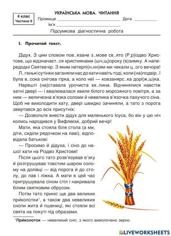 Підсумкова діагностувальна робота