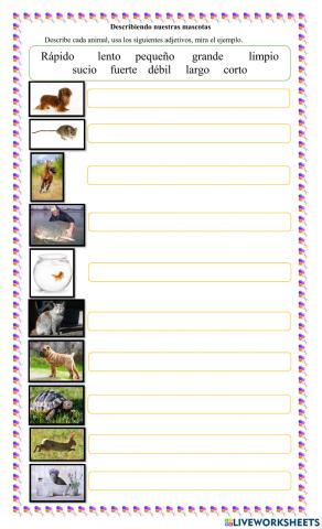 Describiendo nuestras mascotas