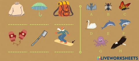 Fun for flyers - 06A,B