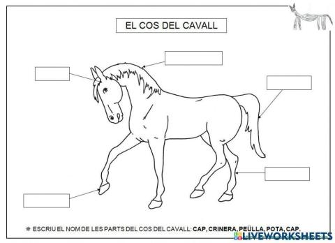 Parts del cavall