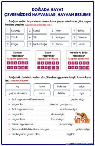 Doğada Hayat-Çevremizdeki Hayvanlar, Hayvan Besleme