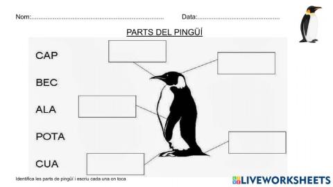 Pingüins
