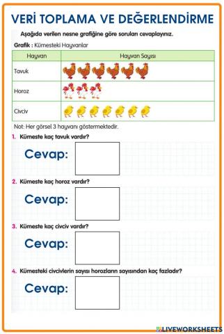 Veri Toplama ve Değerlendirme