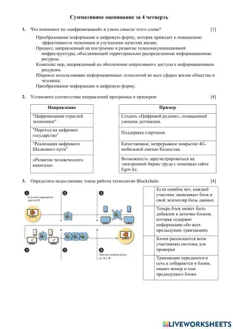 СОЧ по информатике 11 класс ЕМН