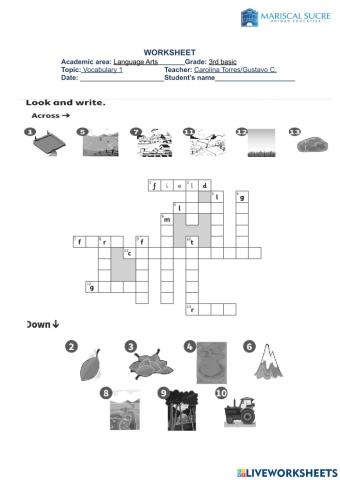 Vocabulary 1- On the farm