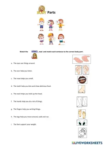 Body Parts Worksheet