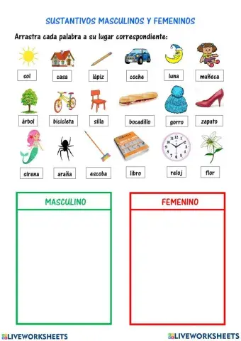 Género masculino y femenino