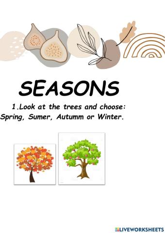 Seasons of the year.