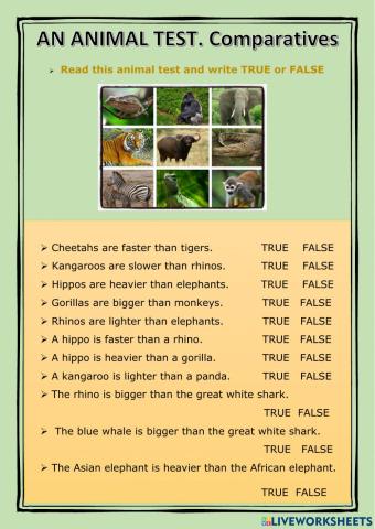 ANIMAL TEST. Comparatives