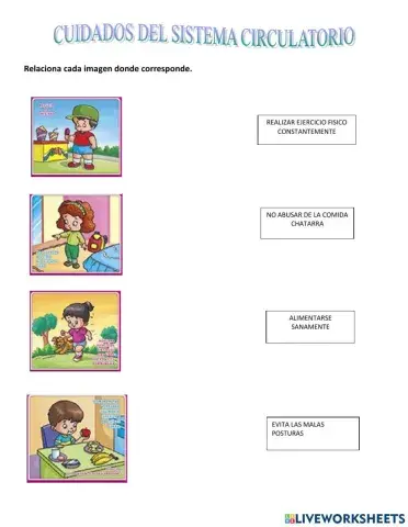 Cuidados del sistema circulatorio