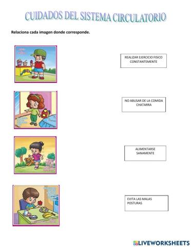 Cuidados del sistema circulatorio